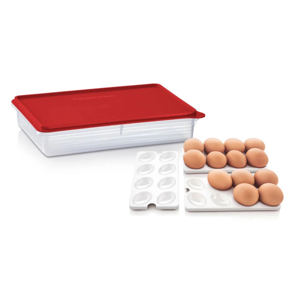 Tupperware Snack-Stor Large Container with Egg Inserts